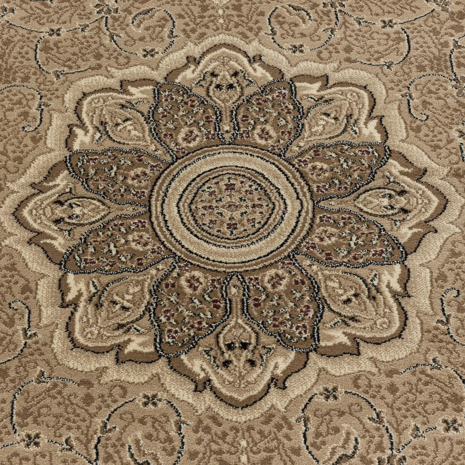 Product close-up