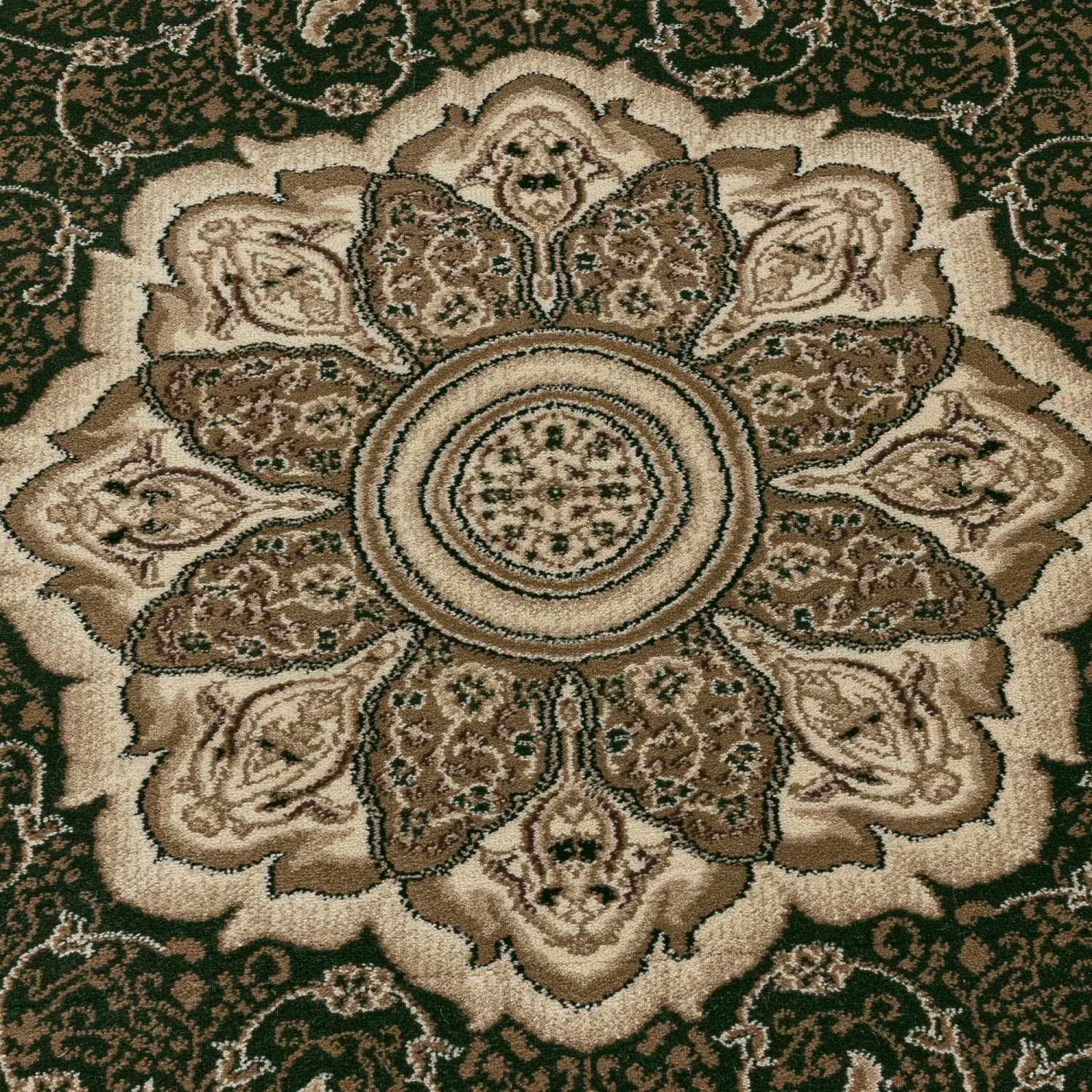 Product close-up
