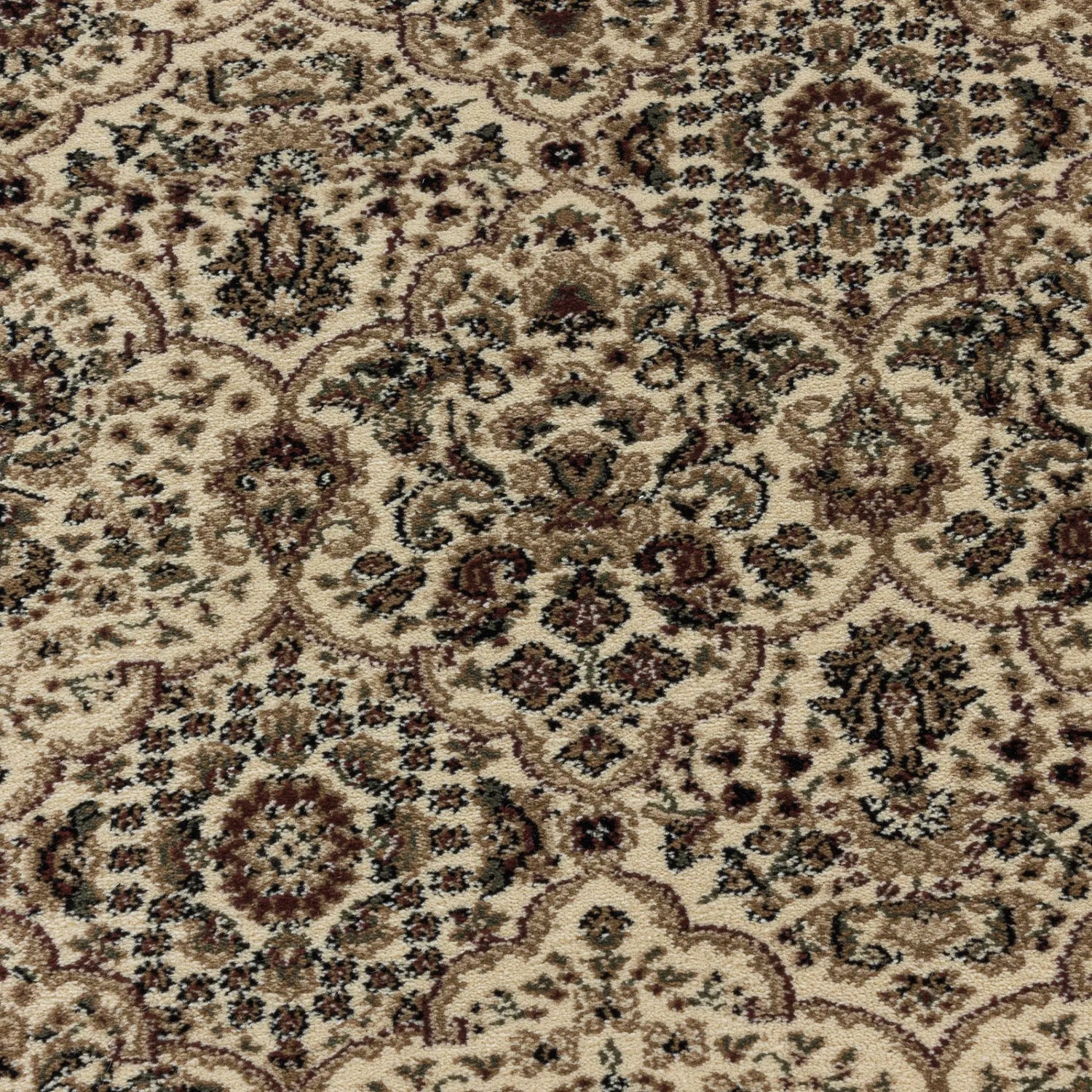 Product close-up