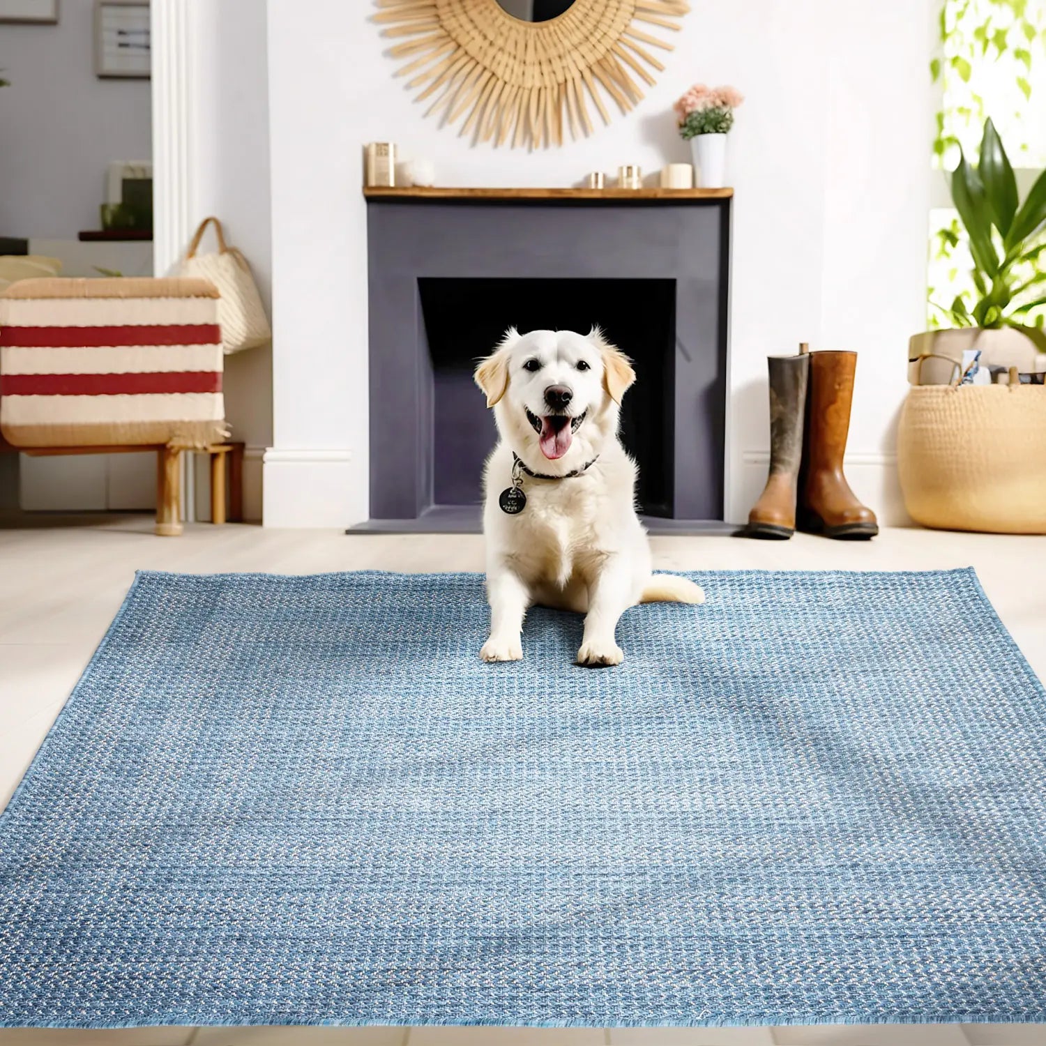 Product image #5