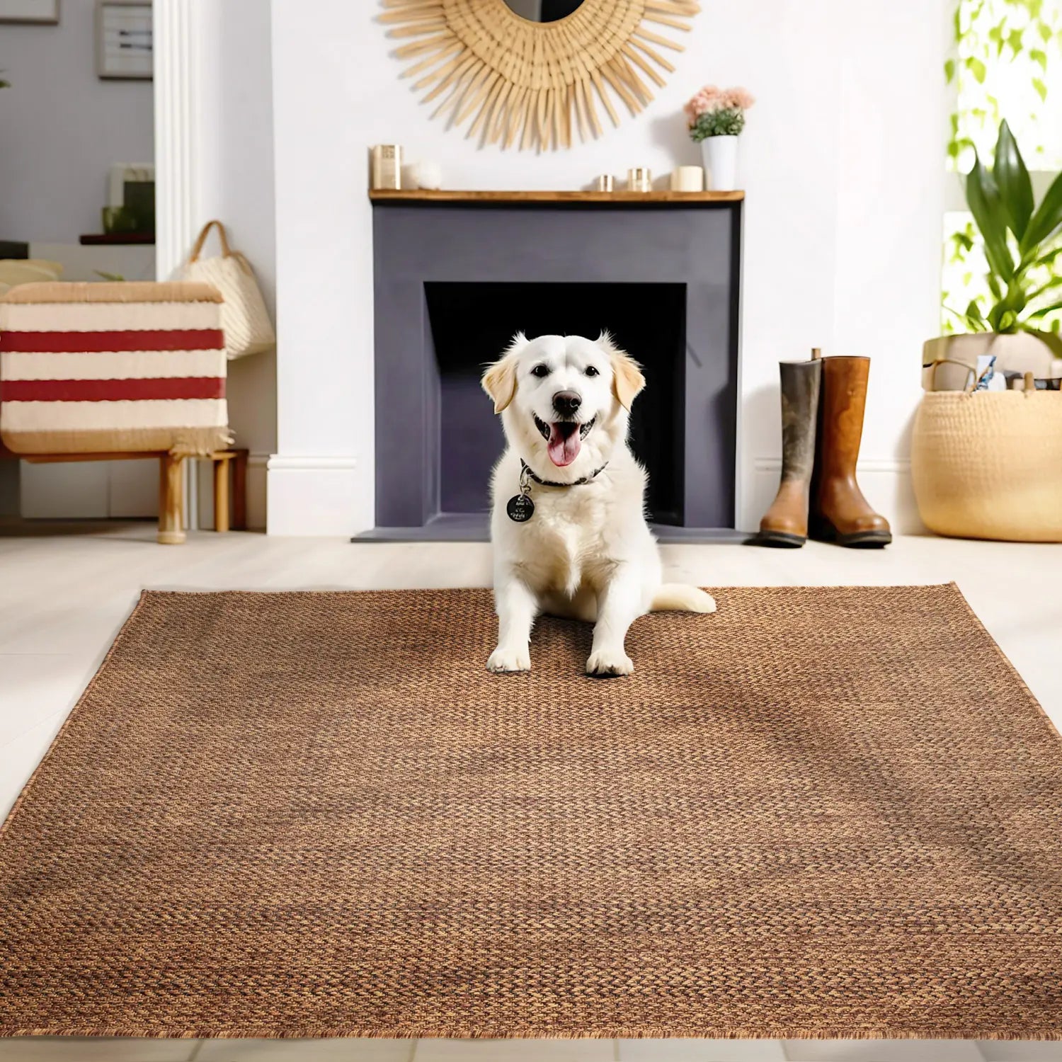 Product image #5
