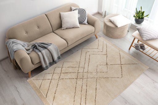 Braun FECDU Ambiente 01