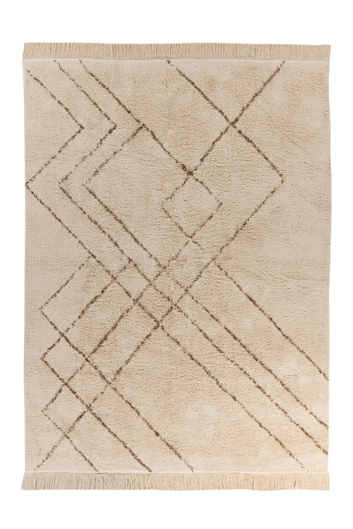 Braun FECDU Draufsicht 00