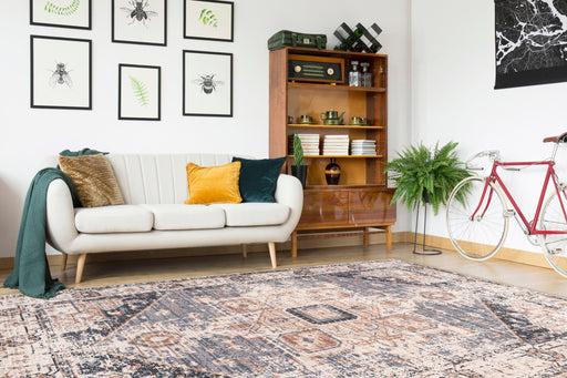 Braun RXSDB E Ambiente 01
