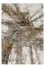 Hoogpolig Vloerkleed – Firenze Abstract Groen