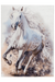 Kindervloerkleed – Sympathy Paard Wit