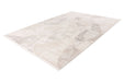 Modern Vloerkleed - Jardin Abstract Beige / Zilver